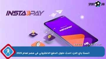 انستا باي الآن: أحدث حلول الدفع الإلكتروني في مصر لعام 2025